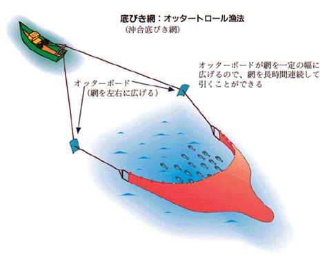 魚網種類|代表的な漁具・漁法の解説